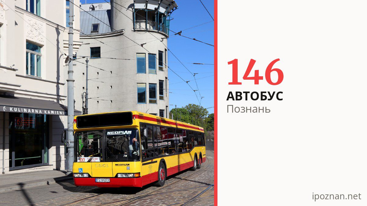 Автобус 146 у Познані