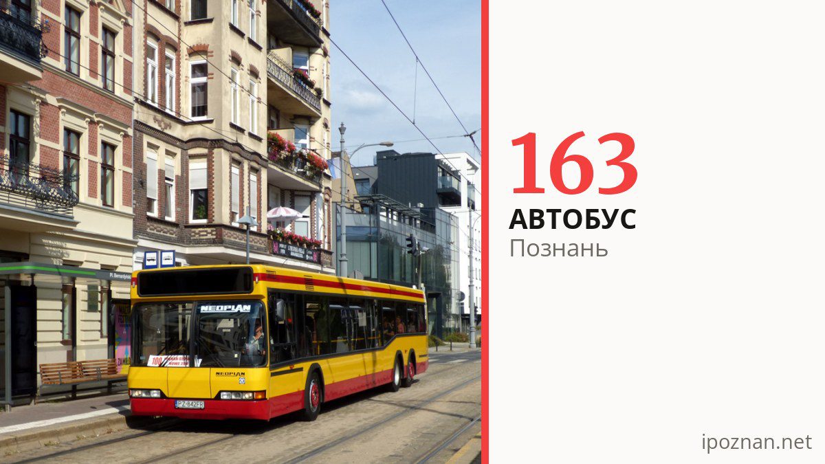 Автобус 163 у Познані