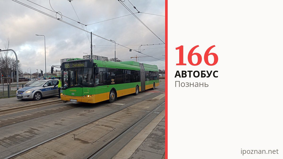 Автобус 166 у Познані