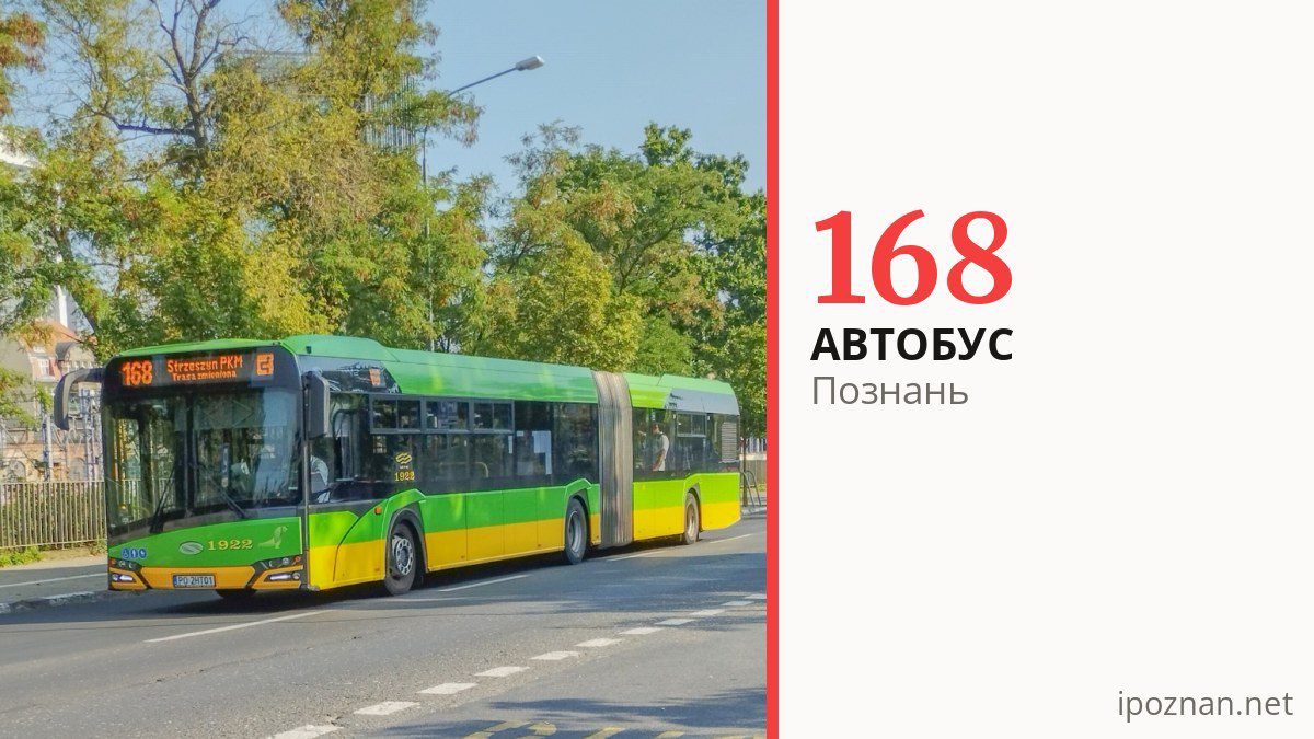 Автобус 168 у Познані