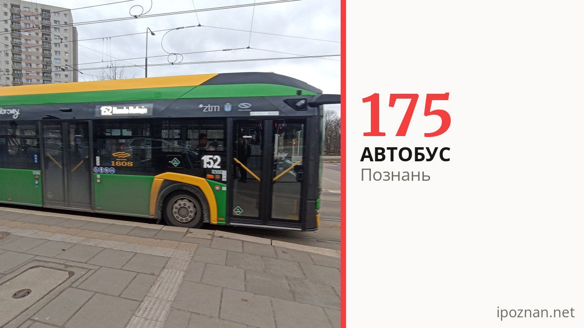 Автобус 175 в Познани