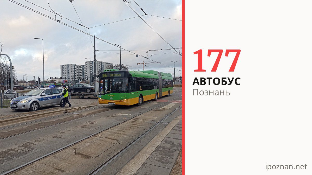 Автобус 177 в Познани