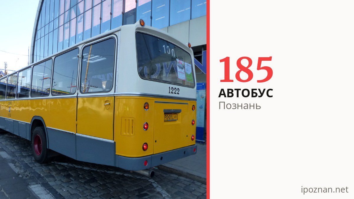 Автобус 185 в Познани