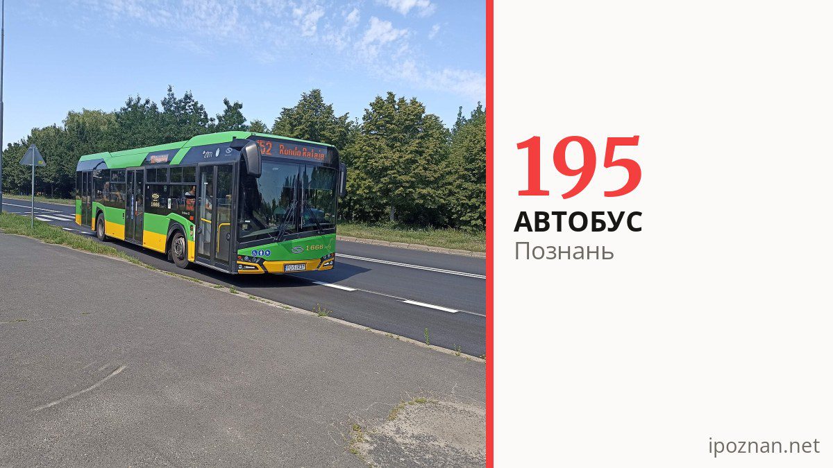Автобус 195 в Познани