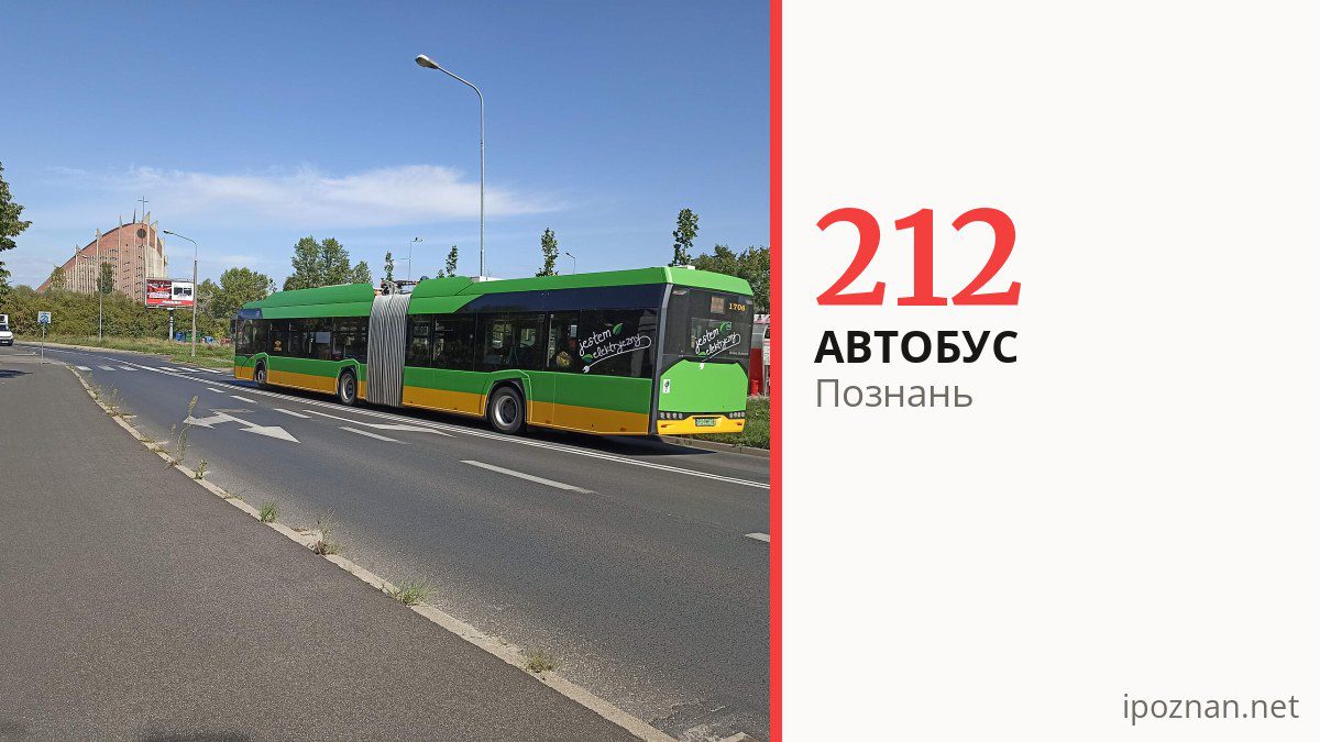 Нічний автобус 212 у Познані