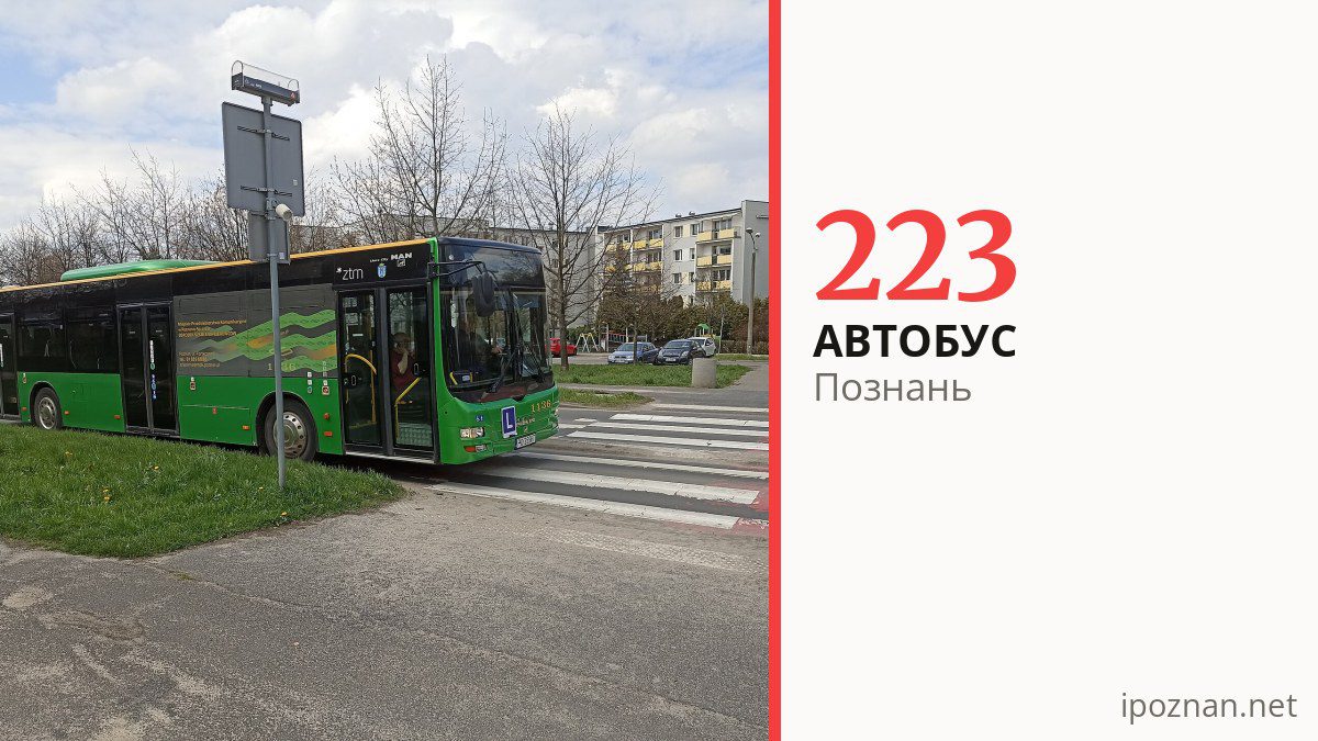 Нічний автобус 223 у Познані