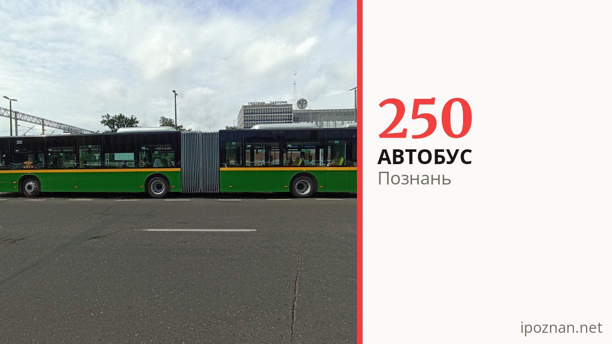 Нічний автобус 250 у Познані