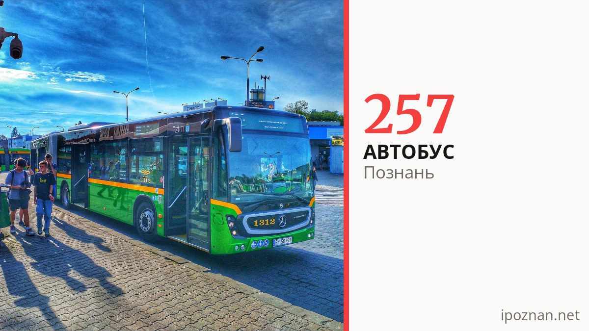 Нічний автобус 257 у Познані