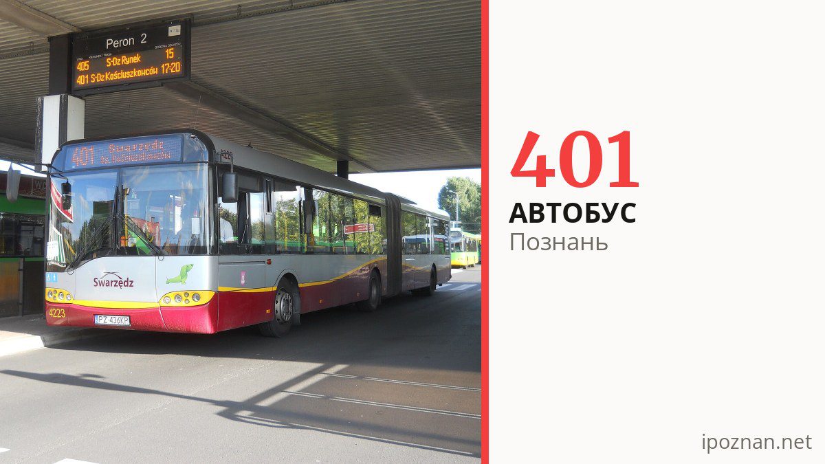 Автобус 401 у Познані