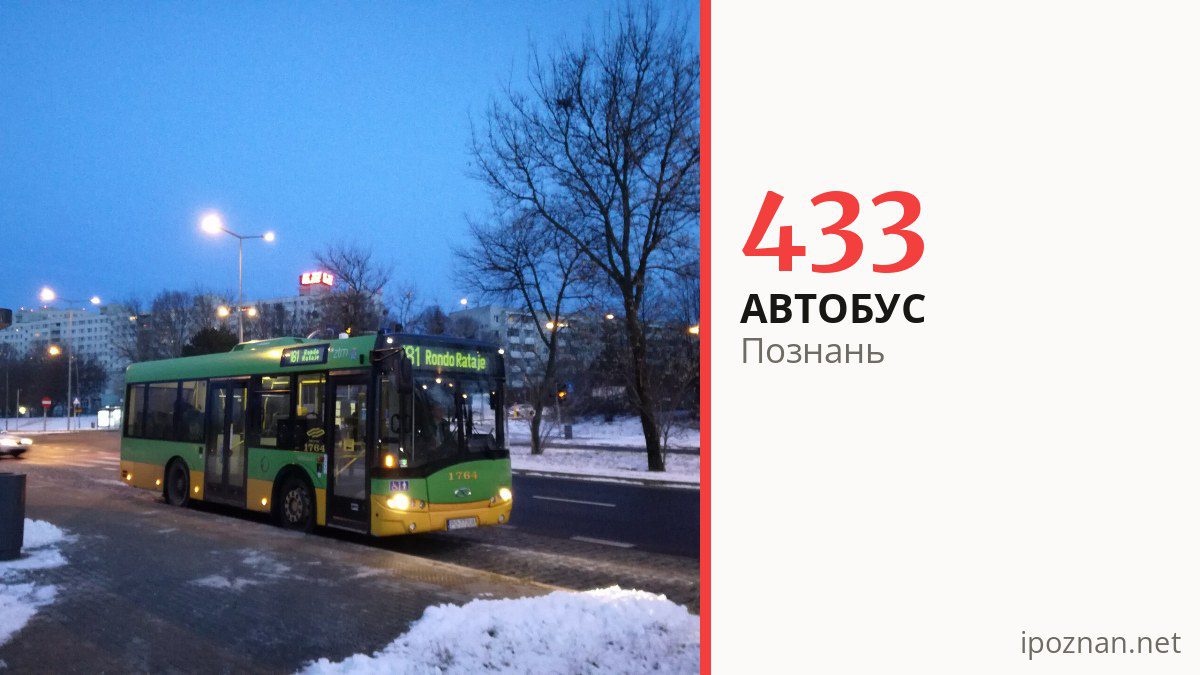 Автобус 433 в Познани