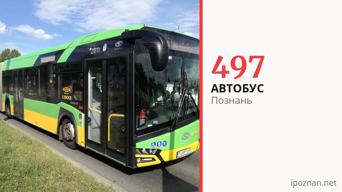Автобус 497 в Познани