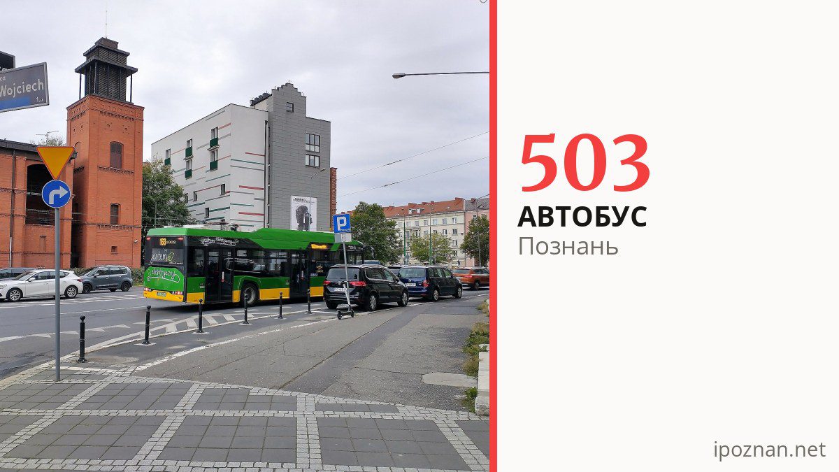 Автобус 503 у Познані