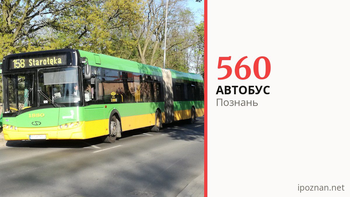 Автобус 560 у Познані