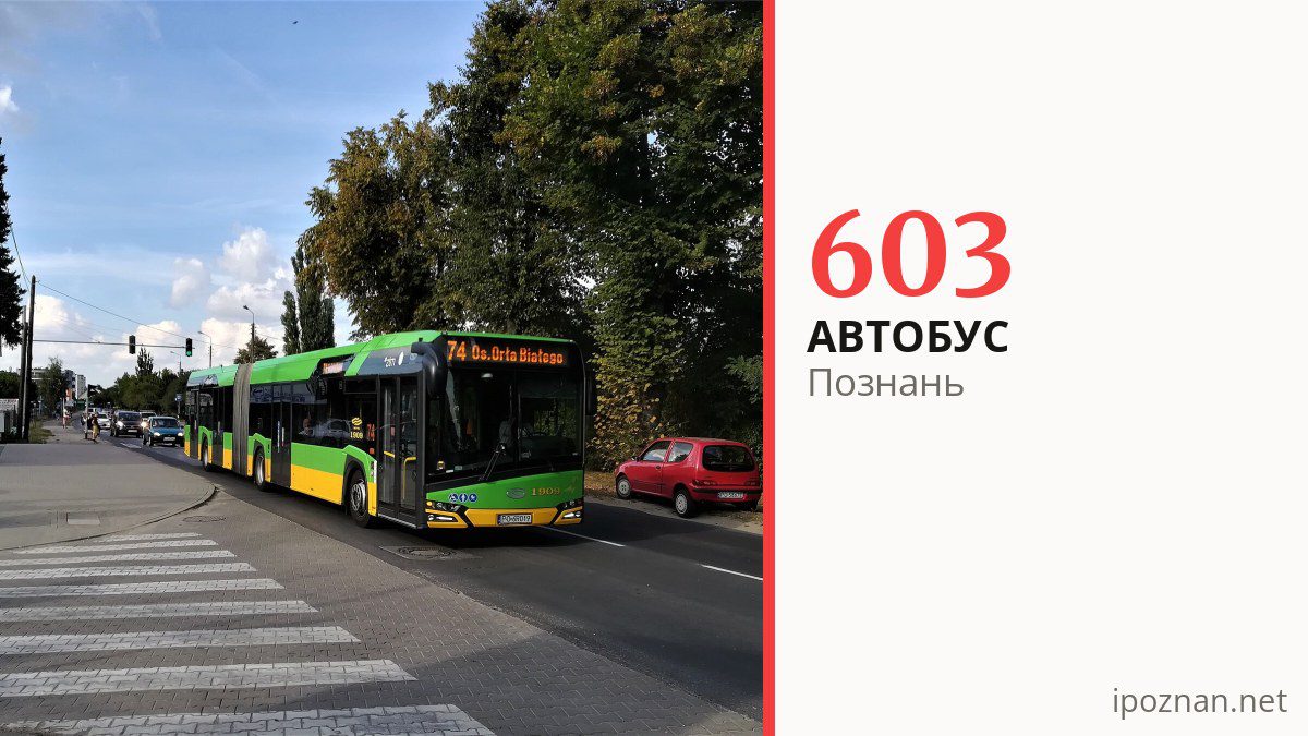 Автобус 603 в Познани
