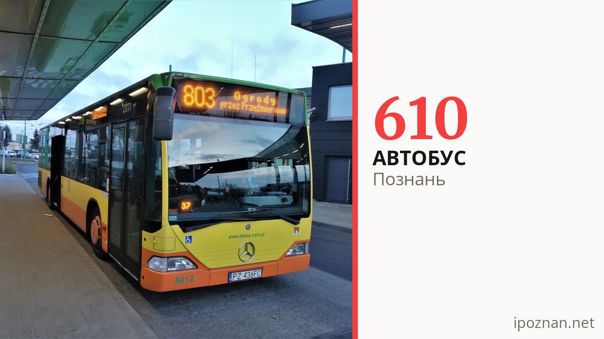 Автобус 610 в Познани
