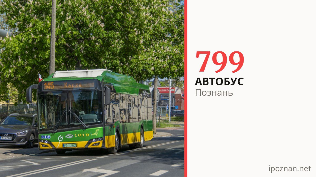 Автобус 799 у Познані