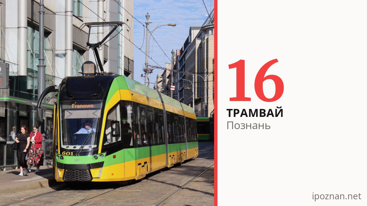 Трамвай 16 у Познані