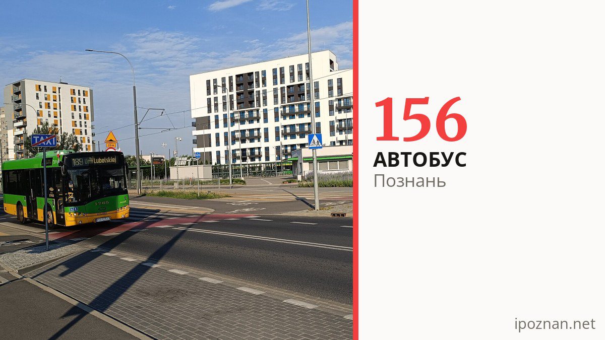 Автобус 156 у Познані