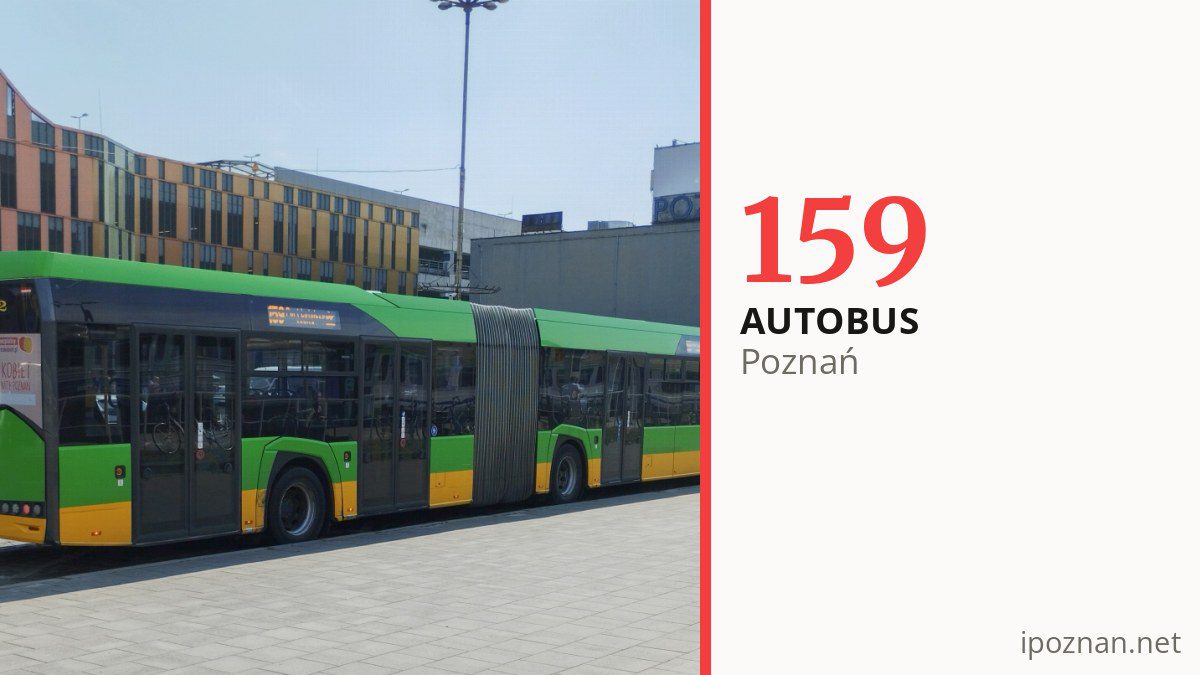 Autobus 159 w Poznaniu