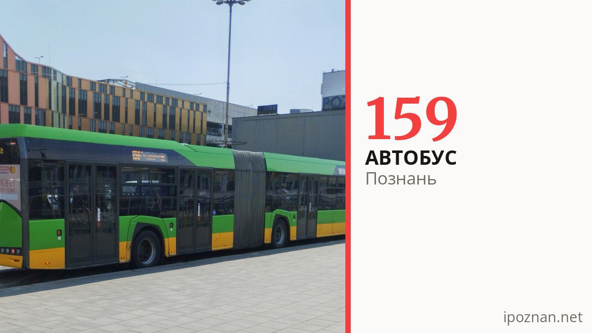 Автобус 159 у Познані