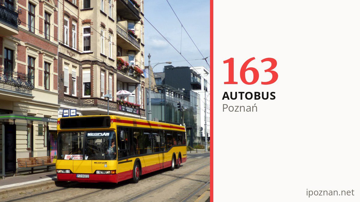 Autobus 163 w Poznaniu
