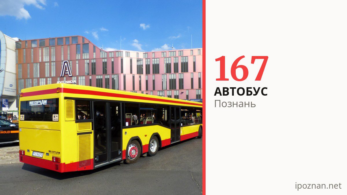 Автобус 167 в Познани