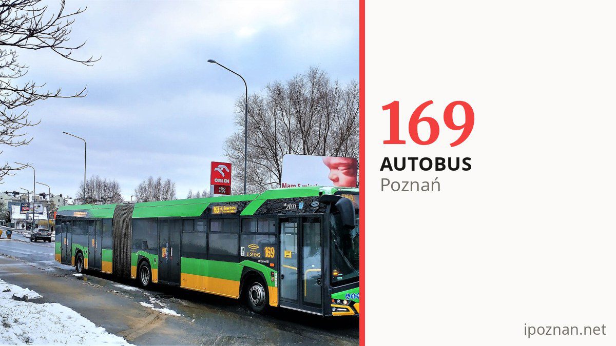 Autobus 169 w Poznaniu