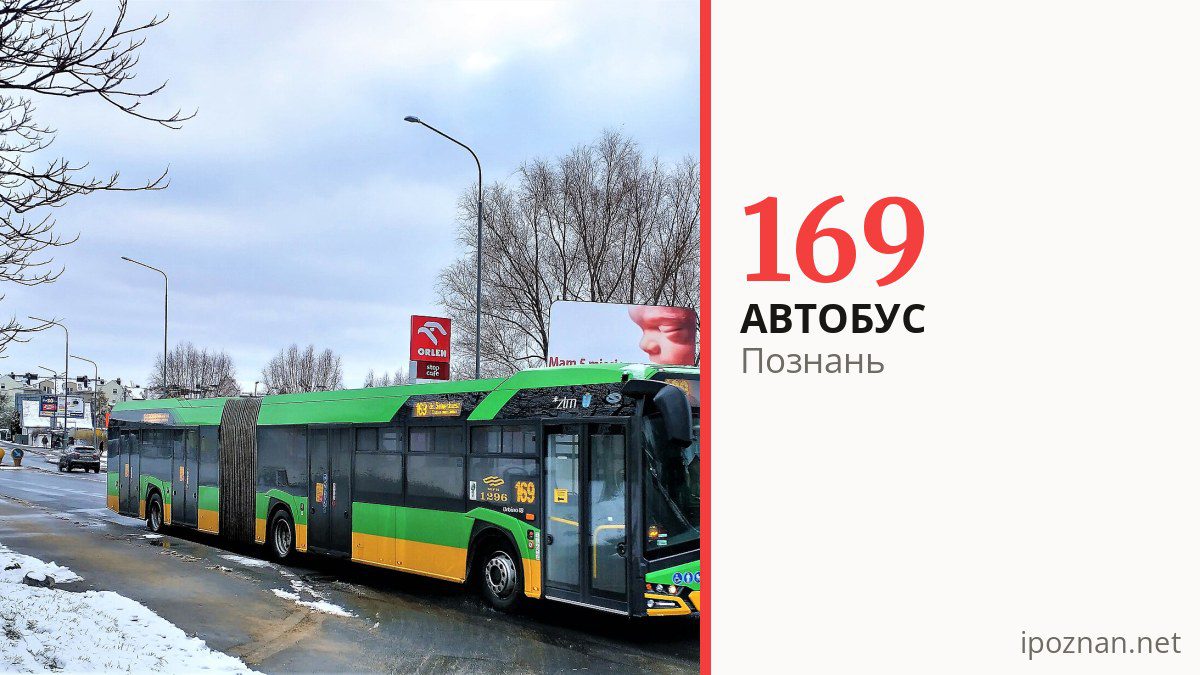 Автобус 169 у Познані