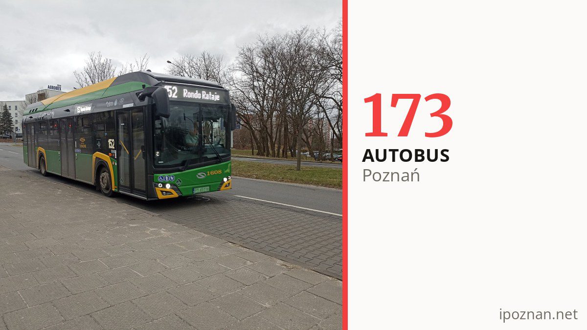 Autobus 173 w Poznaniu