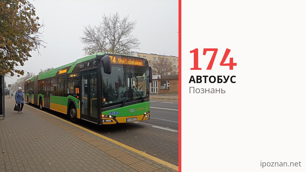Автобус 174 в Познани