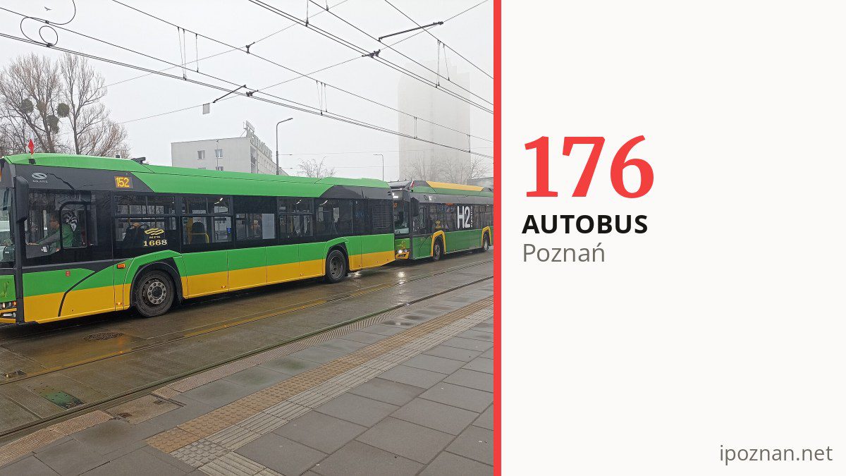 Autobus 176 w Poznaniu