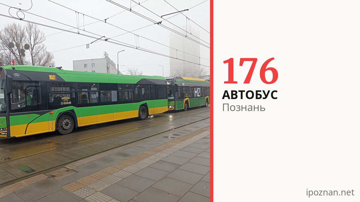 Автобус 176 у Познані