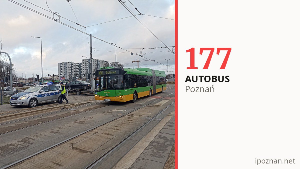 Autobus 177 w Poznaniu