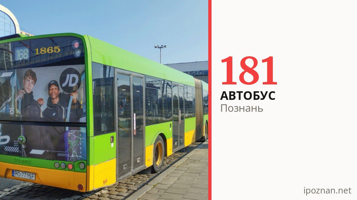 Автобус 181 в Познани