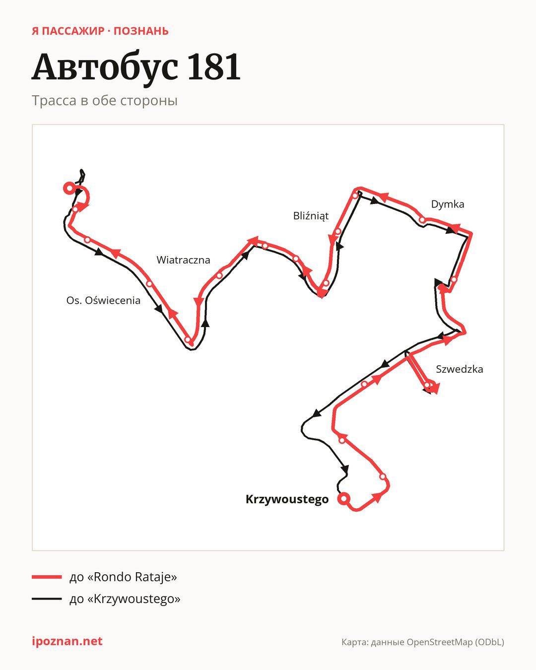 Автобус 181 в Познани на карте: трасса в обе стороны