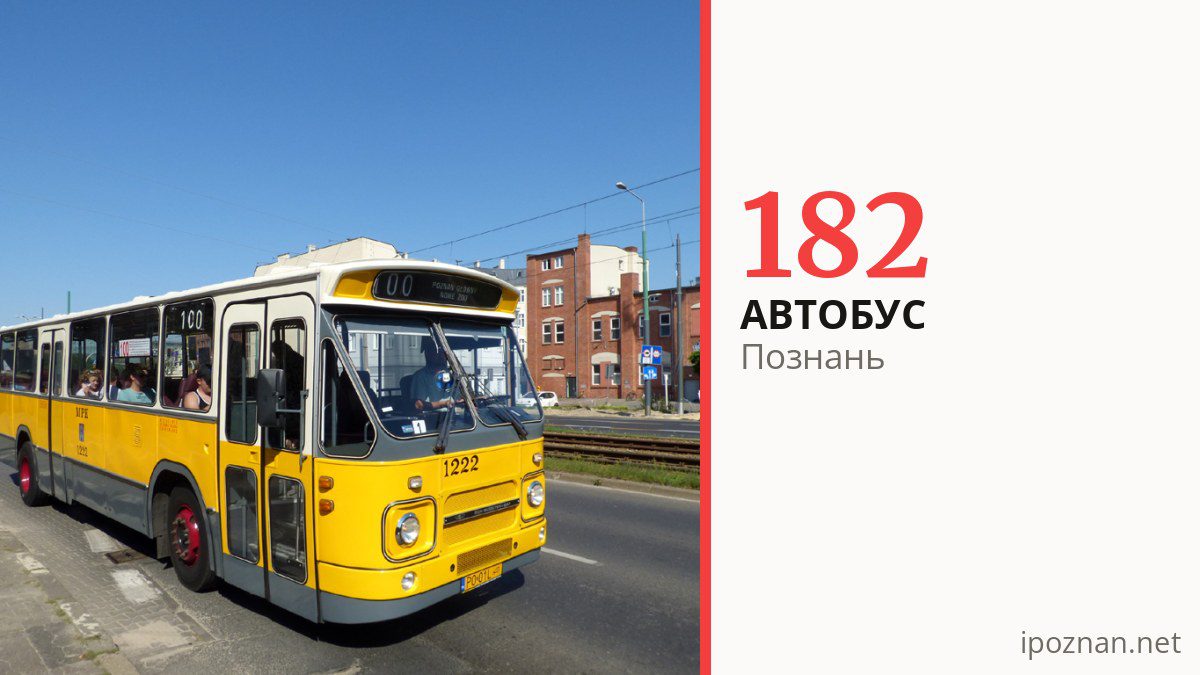 Автобус 182 в Познани