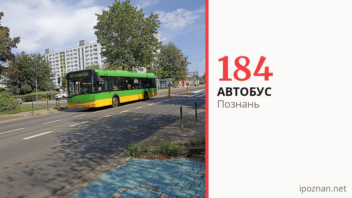 Автобус 184 в Познани