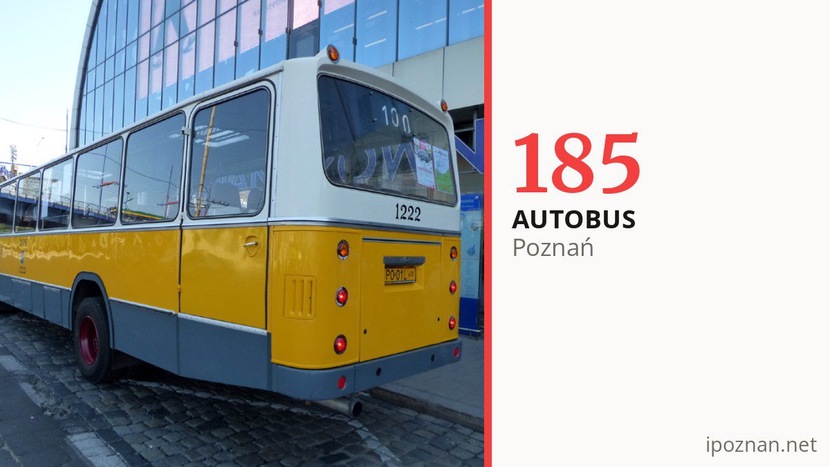 Autobus 185 w Poznaniu