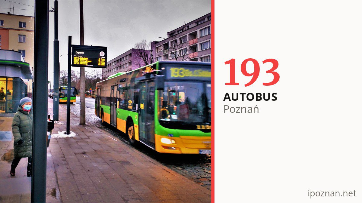 Autobus 193 w Poznaniu