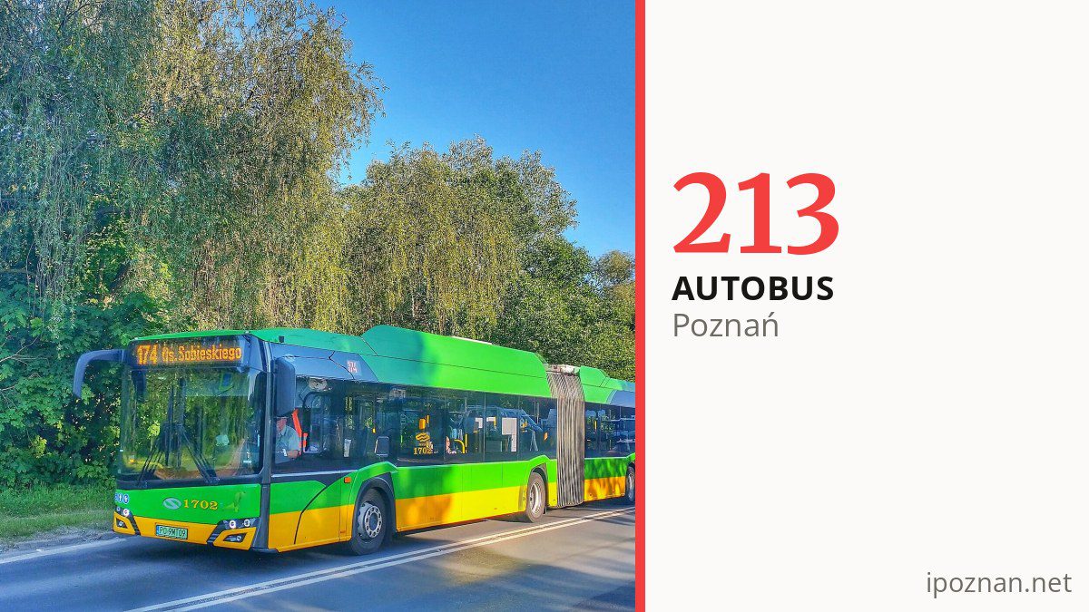 Autobus nocny 213 w Poznaniu