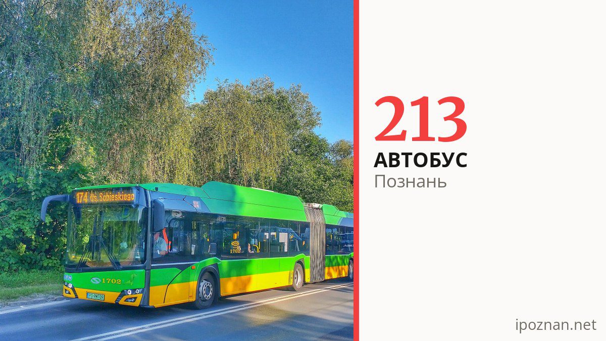Ночной автобус 213 в Познани
