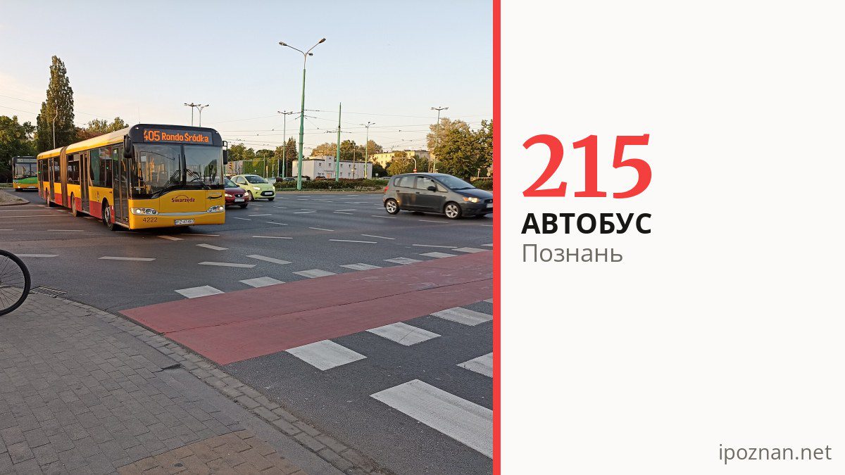 Ночной автобус 215 в Познани