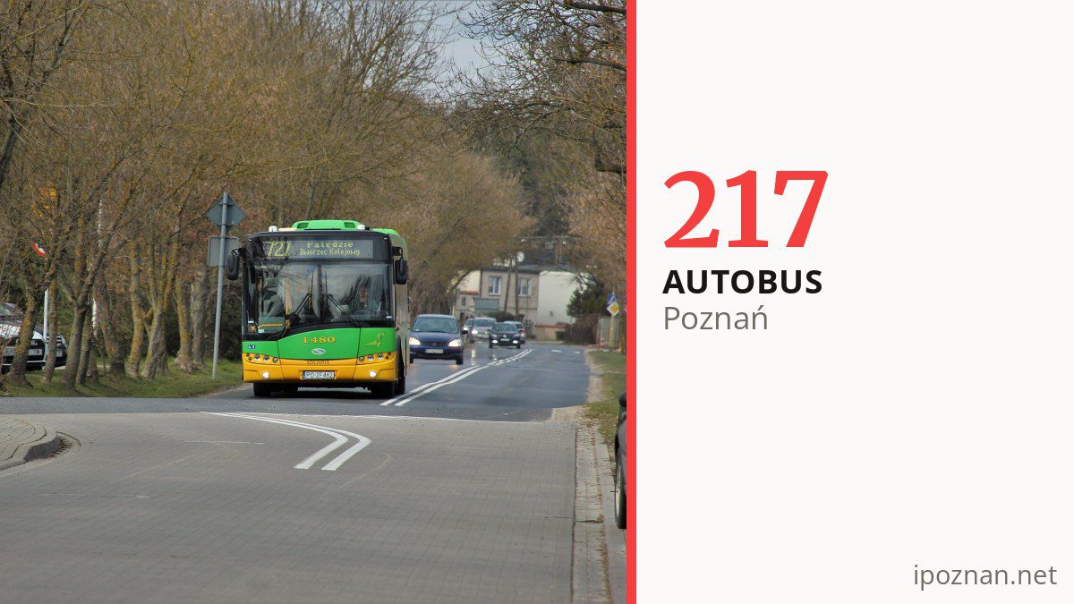 Autobus nocny 217 w Poznaniu