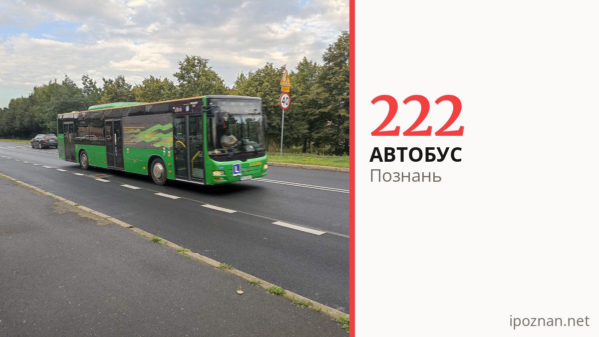 Нічний автобус 222 у Познані
