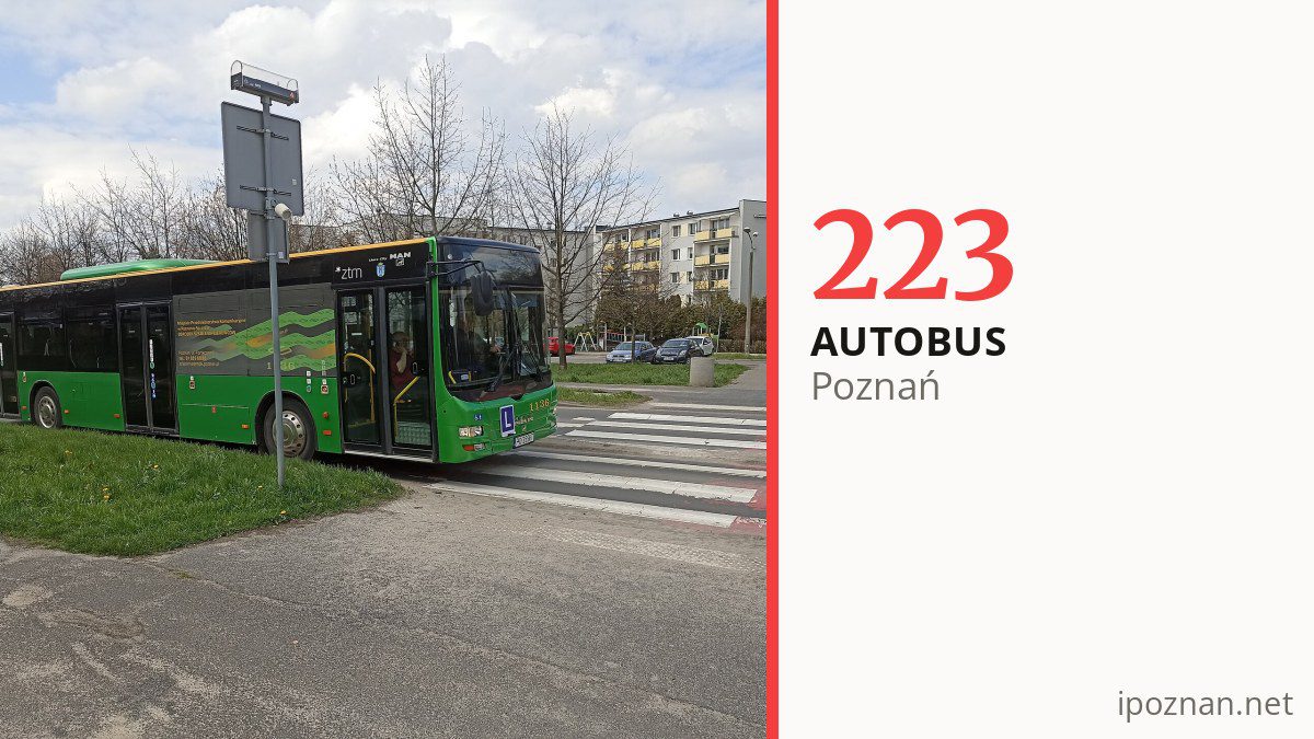 Autobus nocny 223 w Poznaniu