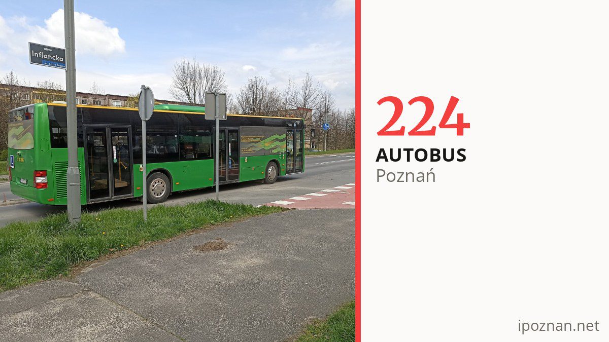 Autobus nocny 224 w Poznaniu