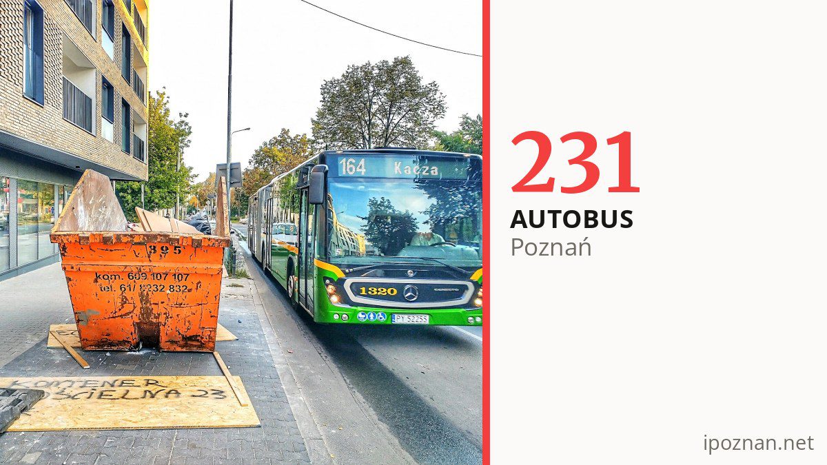 Autobus nocny 231 w Poznaniu