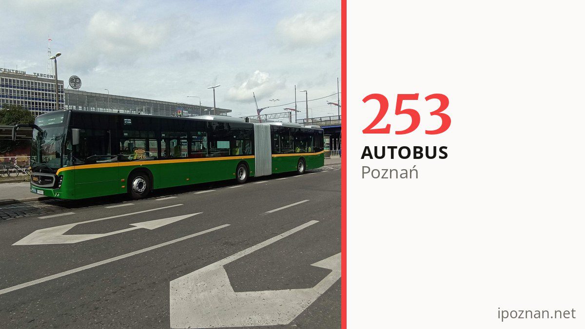 Autobus nocny 253 w Poznaniu