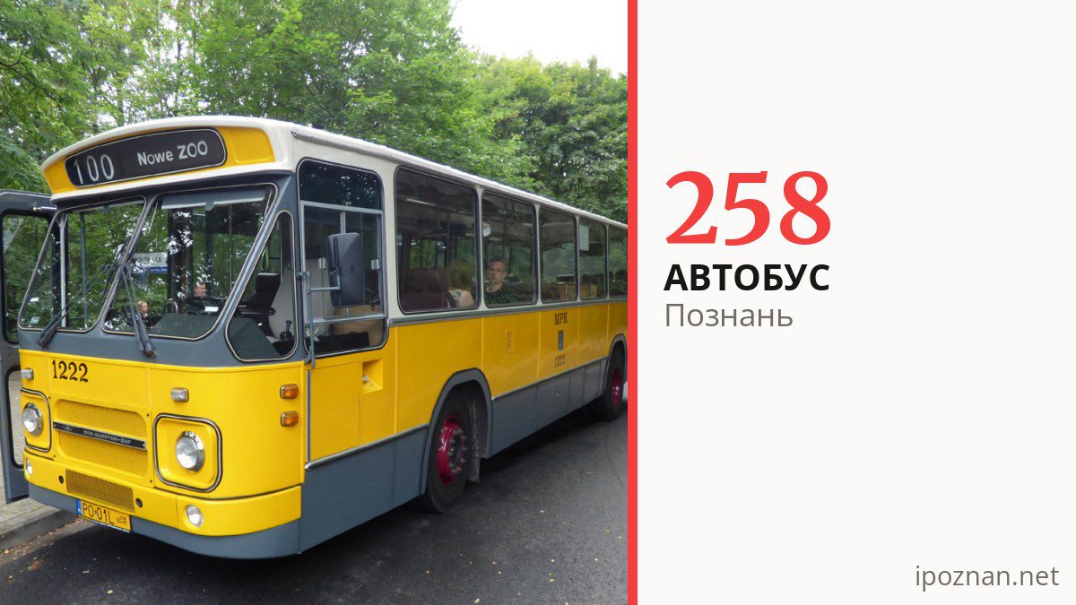 Нічний автобус 258 у Познані