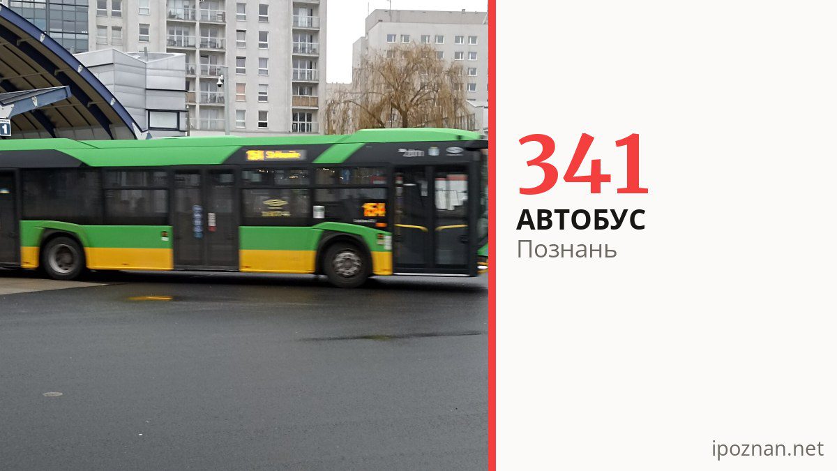 Автобус 341 у Познані